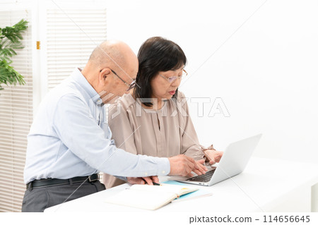 Senior couple online 114656645