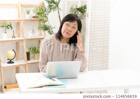 擔心計算機的資深婦女 114656659