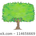 One tree copy space 114656669