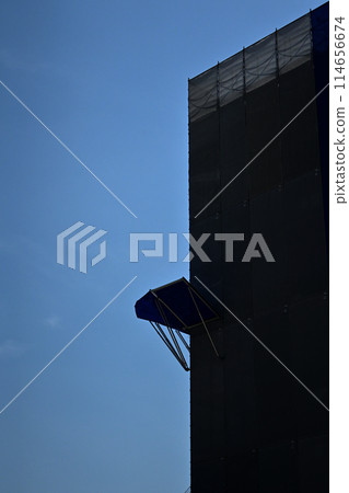 Morning glories planted on a building under construction Morning glories planted on a building under construction 114656674