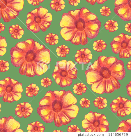 Marigold Flower Seamless Pattern. Floral Digital Paper. 114656759