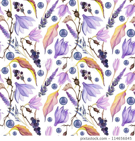 Hand drawn watercolor illustration shabby boho botanical flowers leaves. Crocus saffron rose hip veronica lavender berries. Seamless pattern isolated on white background. Design wedding, paper fabric 114656845