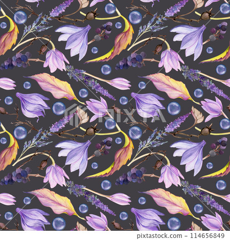 Hand drawn watercolor illustration shabby boho botanical flowers leaves. Crocus saffron rose hip veronica lavender berries. Seamless pattern isolated on dark background. Design wedding, paper fabric 114656849