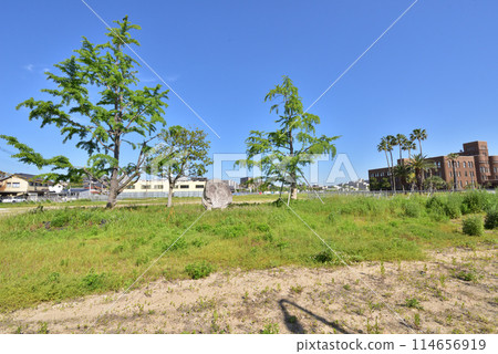Former Kyushu University Hakozaki Campus Site Former Kyushu University Site Former Hakozaki Campus Site Smart City Plan Former Kyushu University Hakozaki Campus Site Former Kyushu University Site Former Hakozaki Campus Site Smart City Plan 114656919