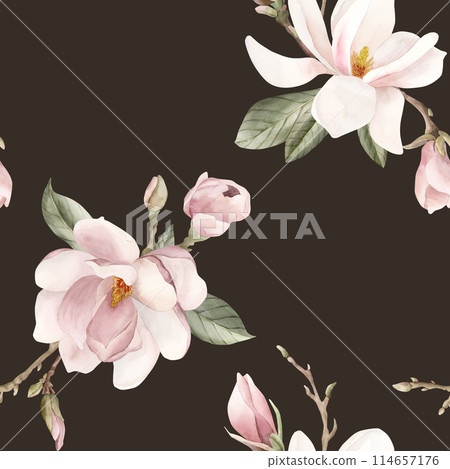 Light pink magnolia flower, buds, sprigs and leaves. Watercolor floral seamless pattern on dark background. Spring blossom for floral fabric, cosmetic packaging, wrapping paper and home textile Light pink magnolia flower, buds, sprigs and leaves. Watercolor floral seamless pattern on dark background. Spring blossom for floral fabric, cosmetic packaging, wrapping paper and home textile 114657176