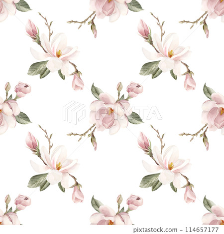 Light pink magnolia flower, buds, sprigs and leaves. Watercolor floral seamless pattern on white background. Spring blossom for floral fabric, cosmetic packaging, wrapping paper and home textile 114657177
