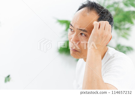 Middle-aged men, hair care, hairline 114657232