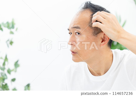 Middle-aged men, hair care, hairline Middle-aged men, hair care, hairline 114657236