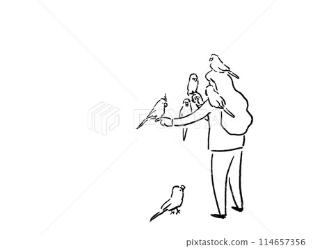 Back view of a woman with a parakeet or bird on her hand, shoulder, or head, line drawing Back view of a woman with a parakeet or bird on her hand, shoulder, or head, line drawing 114657356