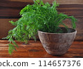Fresh dill in a bowl on wooden background 114657376