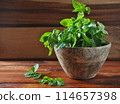 Mint.Bunch of green fresh mint on wooden background in small wooden bowl 114657398
