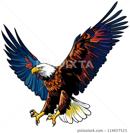 Colorful Flying Bald Eagle Colorful Flying Bald Eagle 114657523