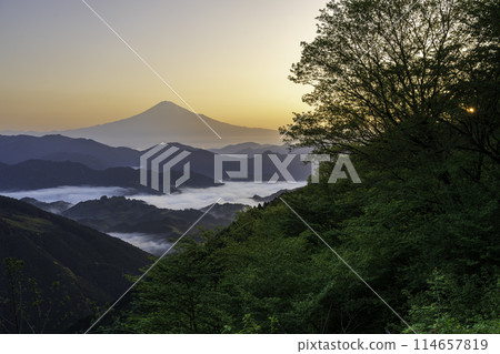 Mount Fuji and sea of clouds at dawn from Yoshiwara, Shizuoka City 114657819