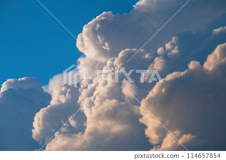 Thunbergye 114657854