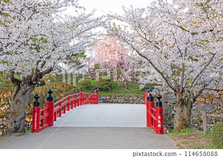 弘前城、櫻花盛開的高岡橋 114658088