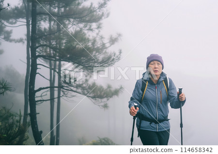 Senior Asian middle-aged woman goes hiking in the mountains, foggy morning in the mountains after rain, holding Nordic walking poles in her hands, senior active lifestyle Senior Asian middle-aged woman goes hiking in the mountains, foggy morning in the mountains after rain, holding Nordic walking poles in her hands, senior active lifestyle 114658342