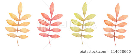 Autumn branches with leaves. Watercolor illustration. Botanical clipart in pastel monochrome colors. Hand drawn isolated art. Floral and plant art. Sketch for seasonal holidays, cards. Thanksgiving. Autumn branches with leaves. Watercolor illustration. Botanical clipart in pastel monochrome colors. Hand drawn isolated art. Floral and plant art. Sketch for seasonal holidays, cards. Thanksgiving. 114658660