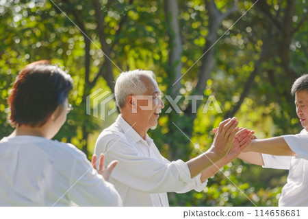 Group of Chinese pensioners training tai chi in the park strengthening their health, smiling mature men and women at daily classes, gymnastics as a lifestyle 114658681