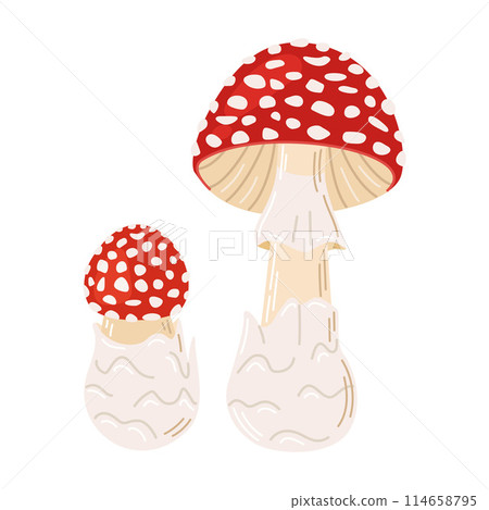 Hand Drawn Fly Agaric Mushrooms Trendy flat style magic fungus isolated on white. 114658795