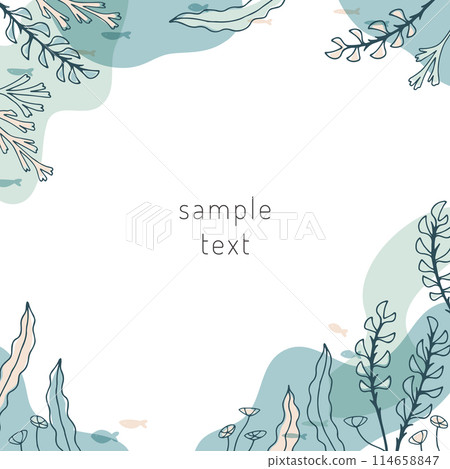 Frame of seaweed and sea creatures Frame of seaweed and sea creatures 114658847