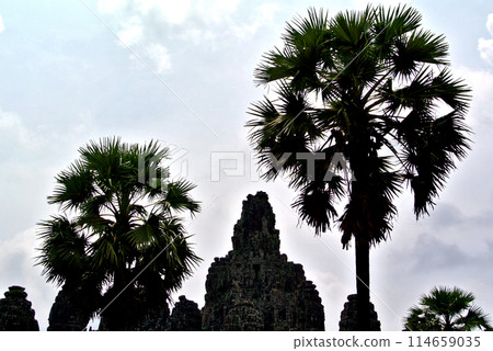 Angkor Thom Ruins, Cambodia 114659035