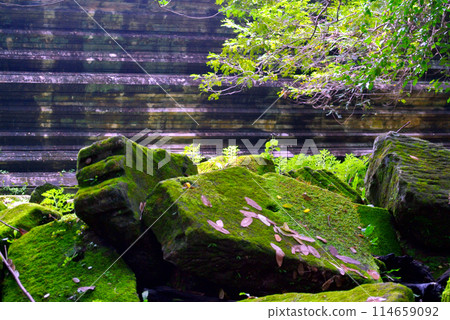 柬埔寨吳哥湯姆遺址 柬埔寨吳哥湯姆遺址 114659092