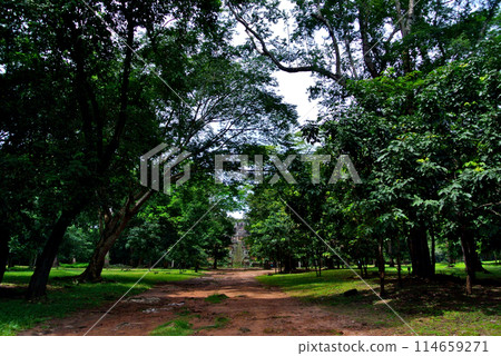 柬埔寨吳哥湯姆遺址 114659271