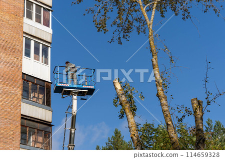 employee rises on a car tower to saw off dangerously growing branches 114659328