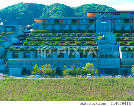 VISON (May) VISON (May) 114659418