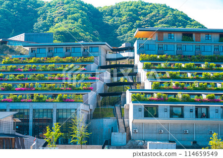 視覺(5月) 視覺(5月) 114659549