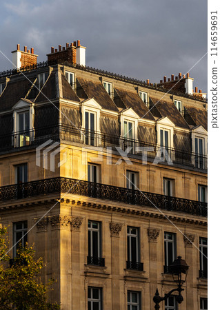elegant historic building with ornate details 114659691