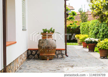 large clay planter in garden 114659709