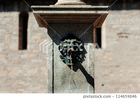 decorative fountain with lion head spout 114659846
