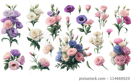 洋桔梗植物藝術 (02) 114660020