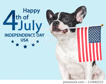Happy Independence Day. American Flag and cute puppy Happy Independence Day. American Flag and cute puppy 114660252