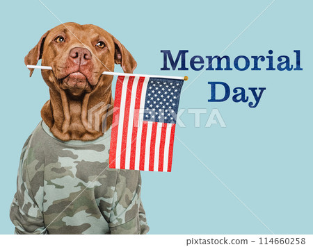 Memorial Day. Adorable dog and congratulatory inscription 114660258