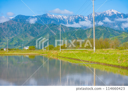 [初夏]稻田和北阿爾卑斯山[大町市] 114660423