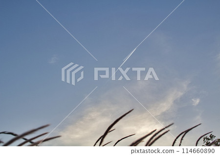 Clouds and contrails floating in the blue sky. It's near dusk in May. 114660890