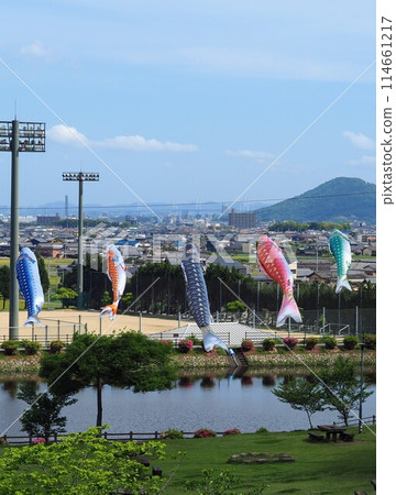 Hachibuse Fureai Park [Zentsuji City, Kagawa Prefecture] Carp streamers 4 114661217
