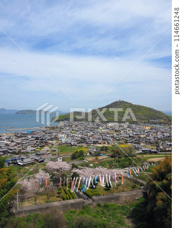 Cherry blossoms and carp streamers at Myojingawa Sabo Park [Takuma Town, Mitoyo City, Kagawa Prefecture] 2 114661248