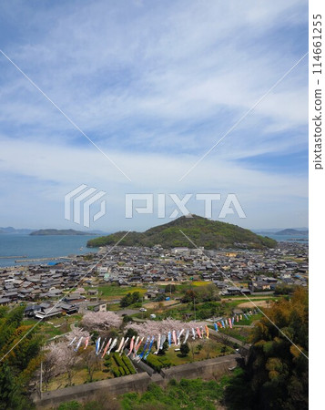 Cherry blossoms and carp streamers at Myojingawa Sabo Park [Takuma Town, Mitoyo City, Kagawa Prefecture] 5 114661255