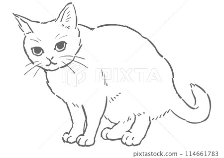 一隻坐著的貓的單色線畫插圖 114661783