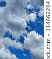 Beautiful clouds spreading across the blue sky, vertical arrangement 114662264