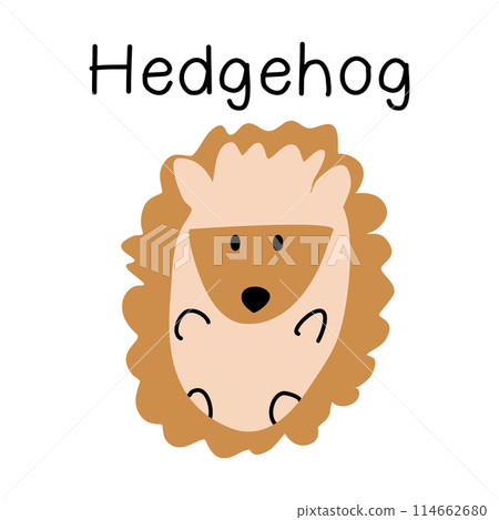 Cute hedgehog  114662680