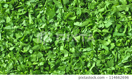 fresh green chopped parsley fresh green chopped parsley 114662696