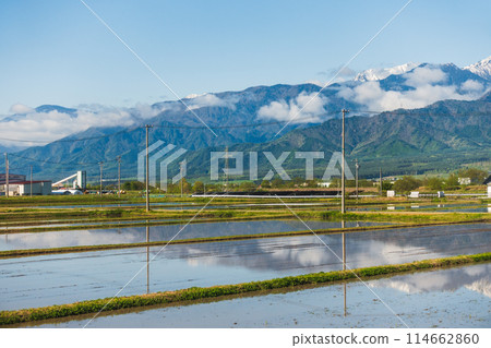 [Early Summer] Northern Alps and countryside [Omachi City] 114662860