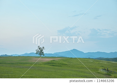 the mountains and hills at Singha Park 114663206