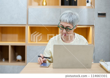 asian elderly female gray hair wear spectacles working on laptop asian elderly female gray hair wear spectacles working on laptop 114663301