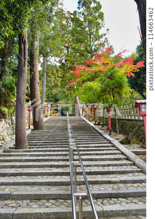 京都吉田神社（京都市左京區） 114663462