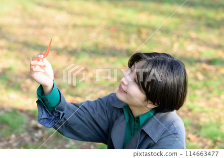 Woman picking up fallen autumn leaves 114663477